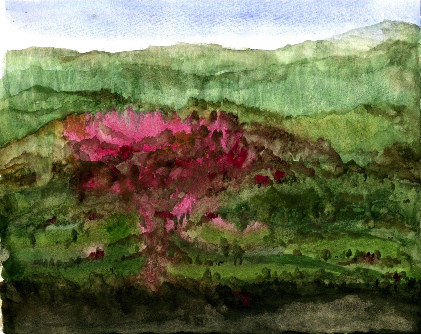 carnet_japon_0413_fukushima_sakura