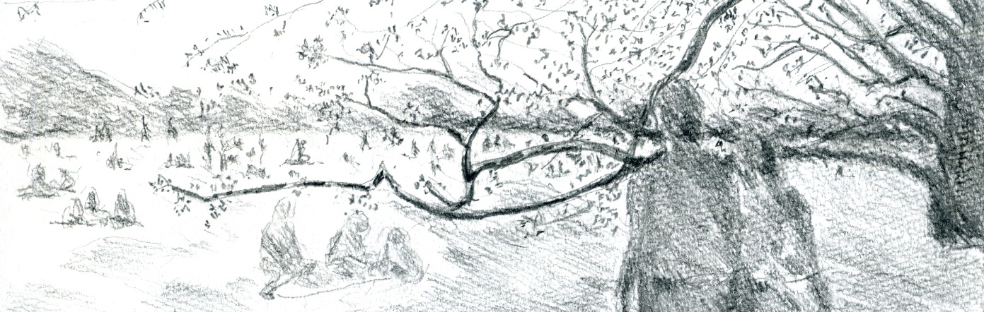 carnet_japon_0413_yoyogi park